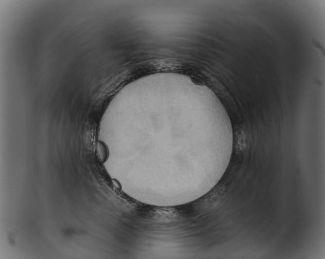 X0000100480666200807031853