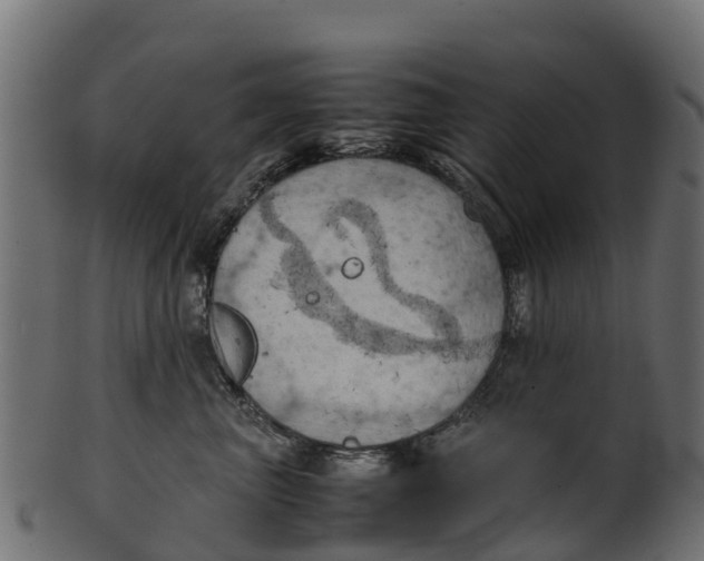 X0000100480667200807031853