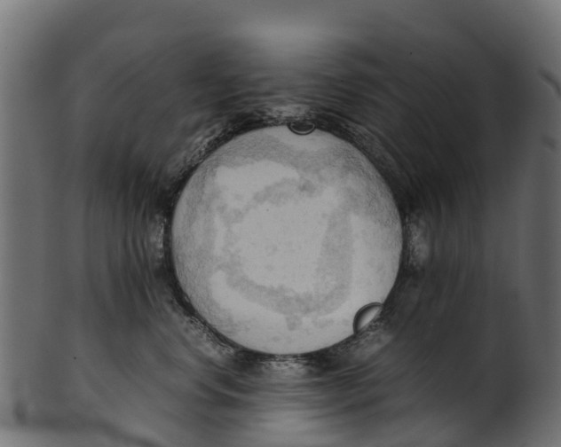 X0000100480668200807031853