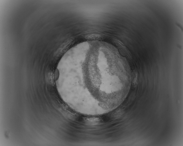 X0000100480669200807031853