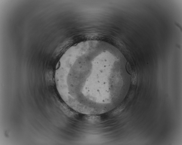 X0000100480670200807031853