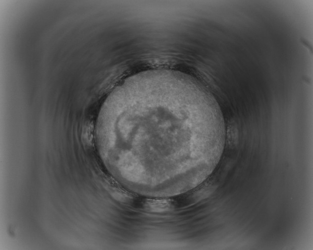 X0000100480671200807031853