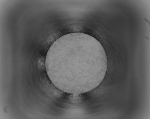 X0000100480672200807031853