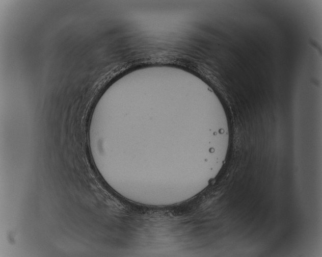 X0000100480673200807031852