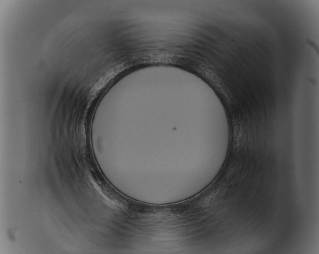 X0000100480674200807031852