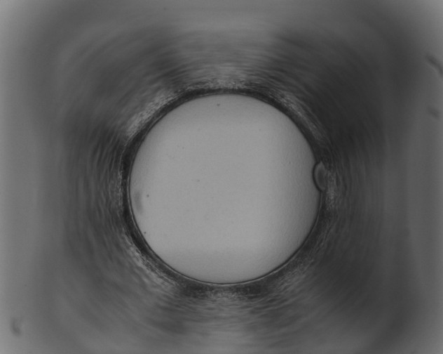 X0000100480677200807031852