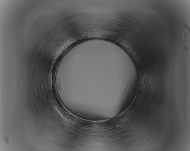 X0000100480678200807031852