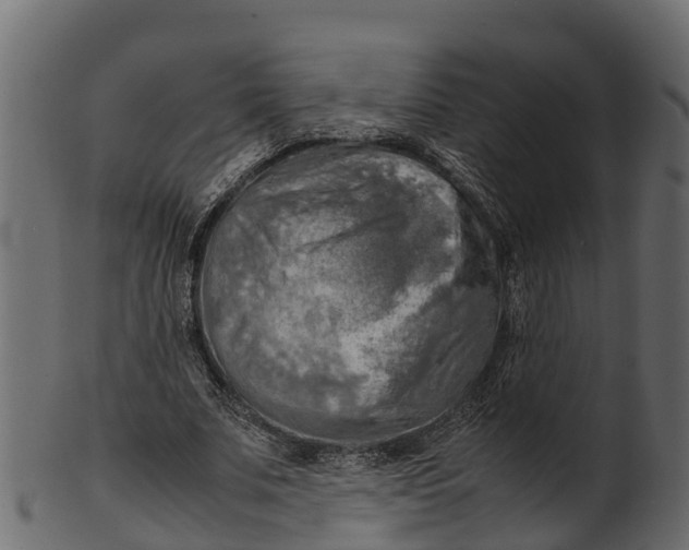 X0000100480679200807031852