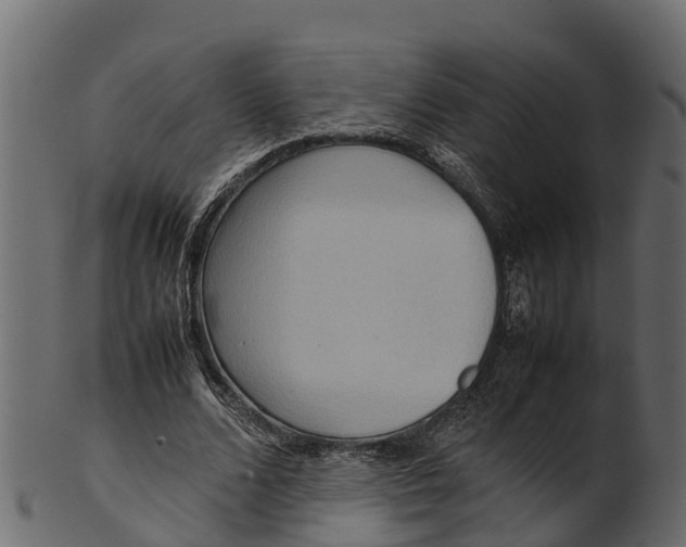 X0000100480680200807031852