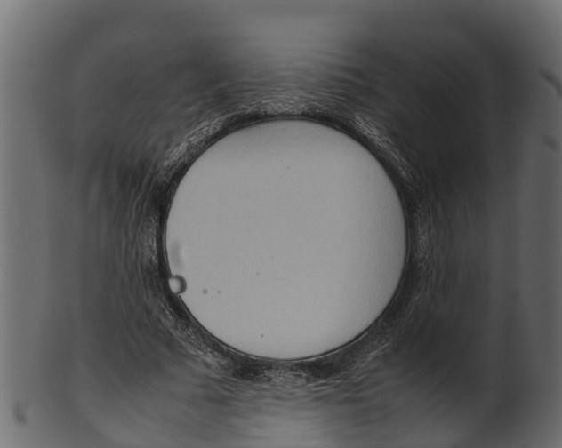 X0000100480681200807031852