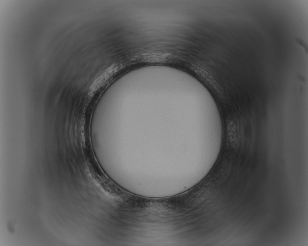 X0000100480682200807031852