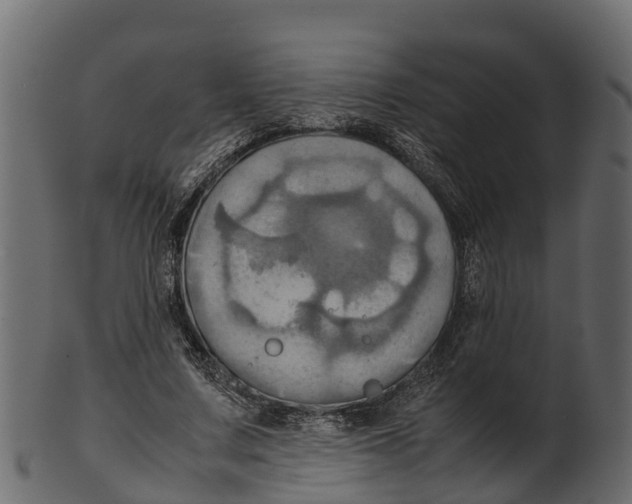 X0000100480683200807031852