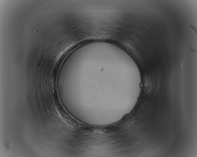 X0000100480684200807031852