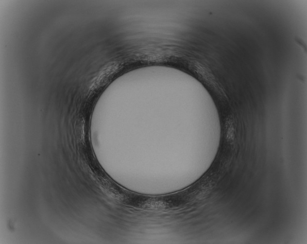 X0000100480685200807031852