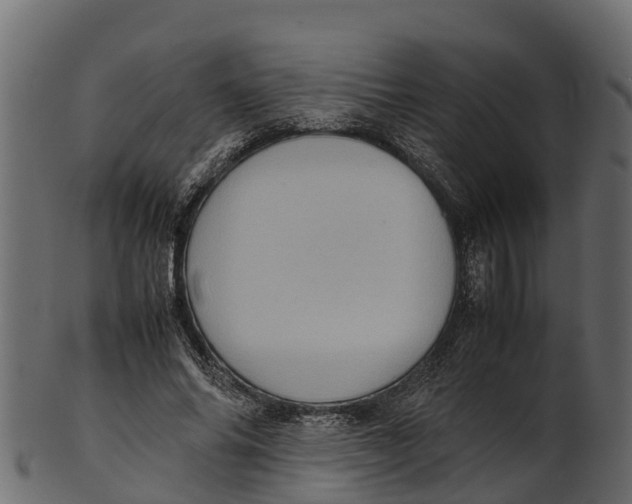 X0000100480686200807031852