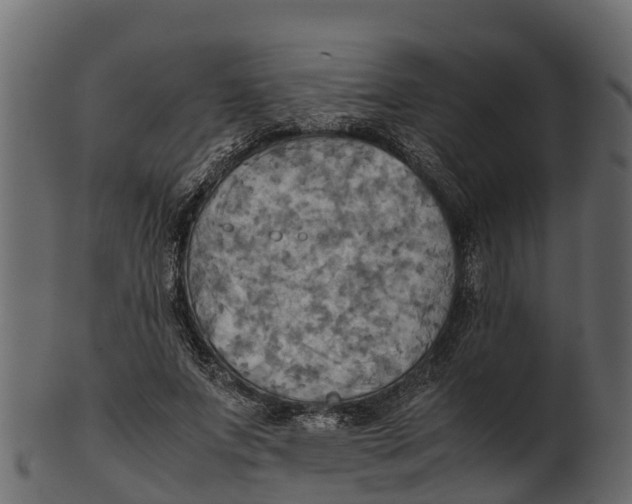 X0000100480687200807031852