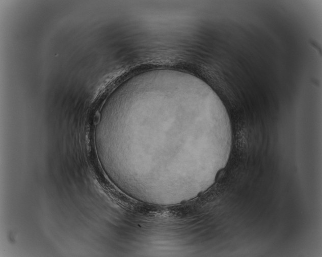 X0000100480688200807031852