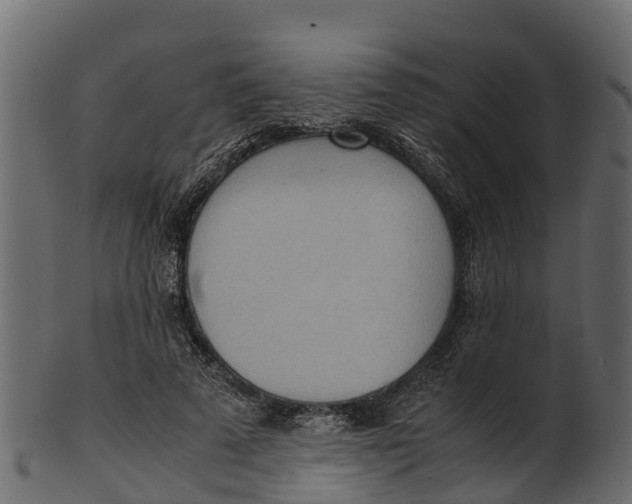 X0000100480689200807031852