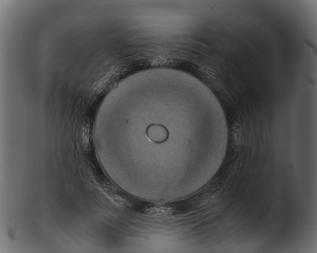 X0000100480691200807031852