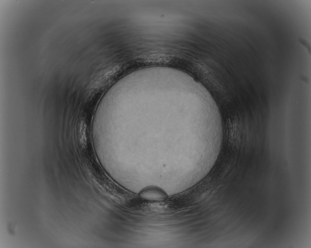 X0000100480692200807031852