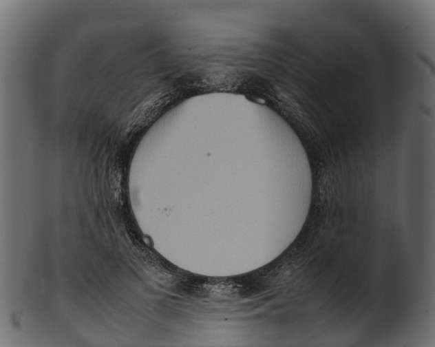 X0000100480693200807031852