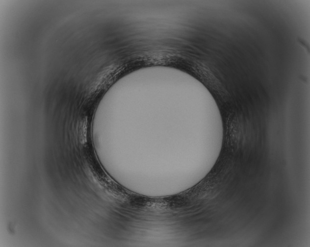 X0000100480694200807031852