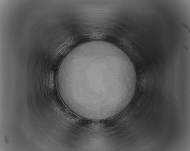 X0000100480696200807031852