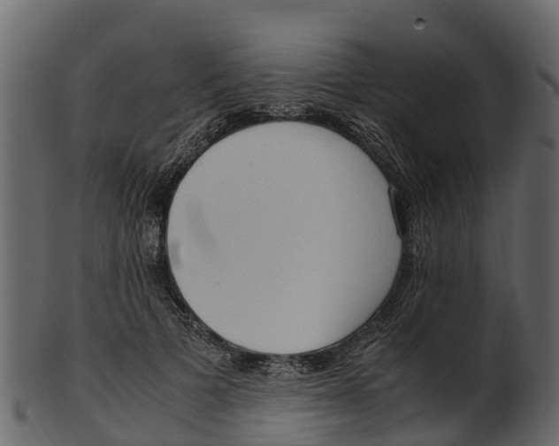 X0000100480697200807031852