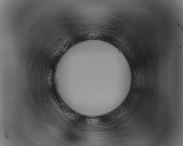 X0000100480698200807031852