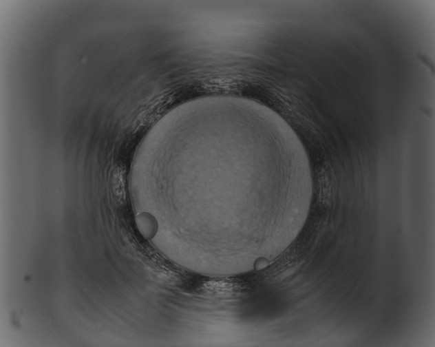 X0000100480699200807031852