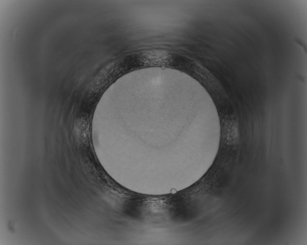 X0000100480701200807031852