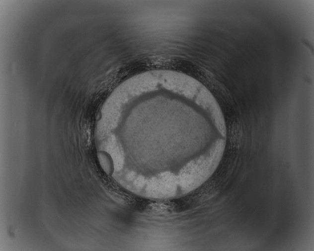 X0000100480703200807031852