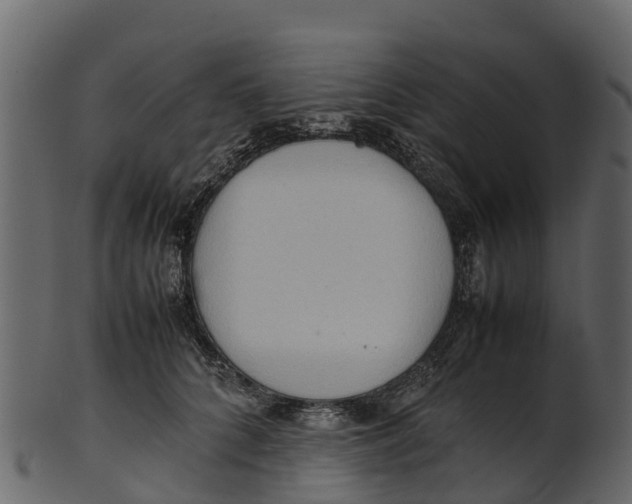 X0000100480704200807031852