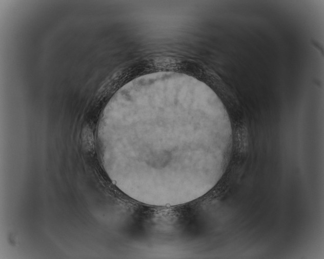 X0000100480705200807031852