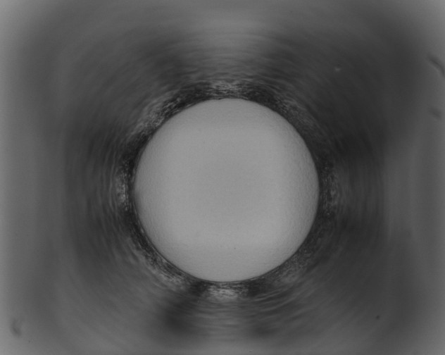 X0000100480706200807031852