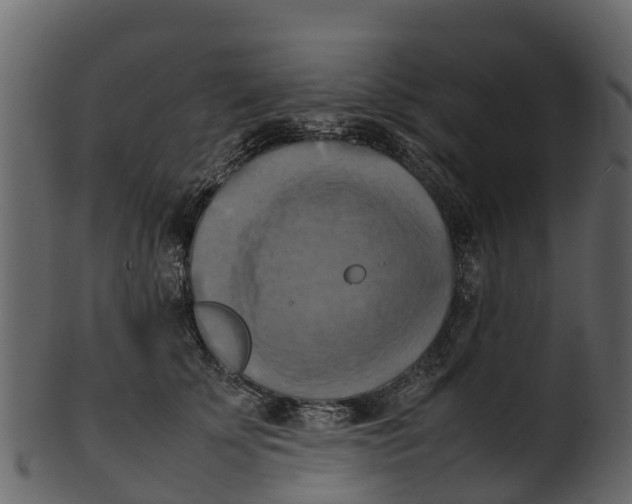 X0000100480707200807031852