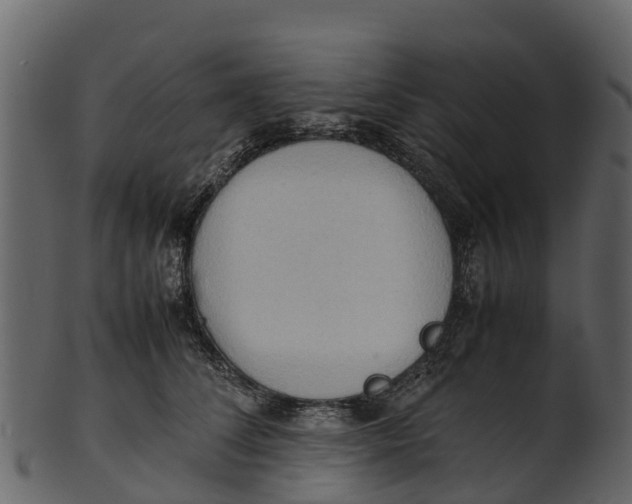 X0000100480708200807031852