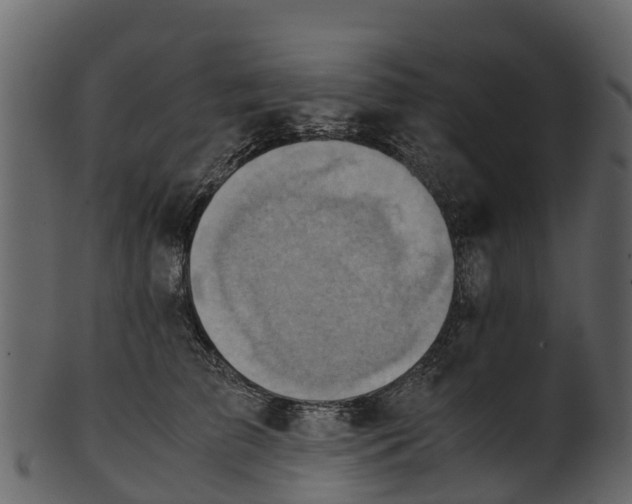 X0000100480709200807031852