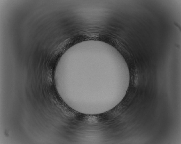 X0000100480710200807031852