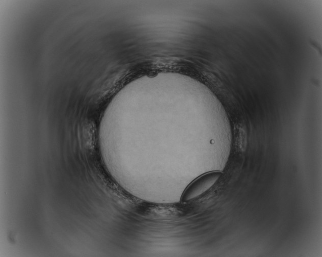 X0000100480712200807031852