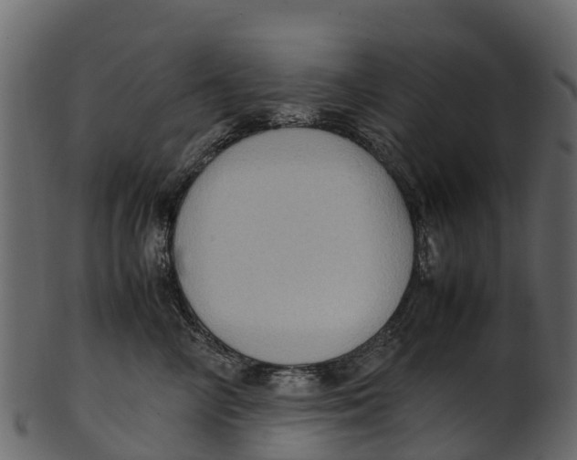 X0000100480714200807031852