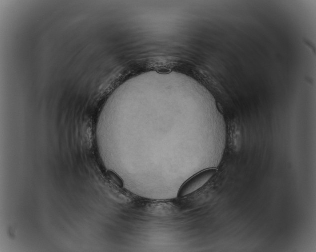 X0000100480716200807031852