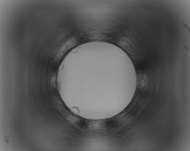 X0000100480717200807031852