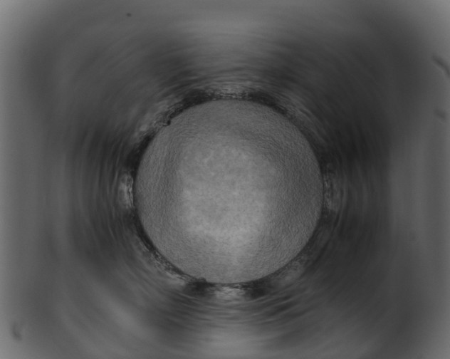 X0000100480718200807031852