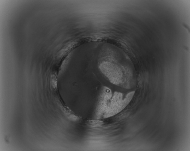 X0000100480719200807031852