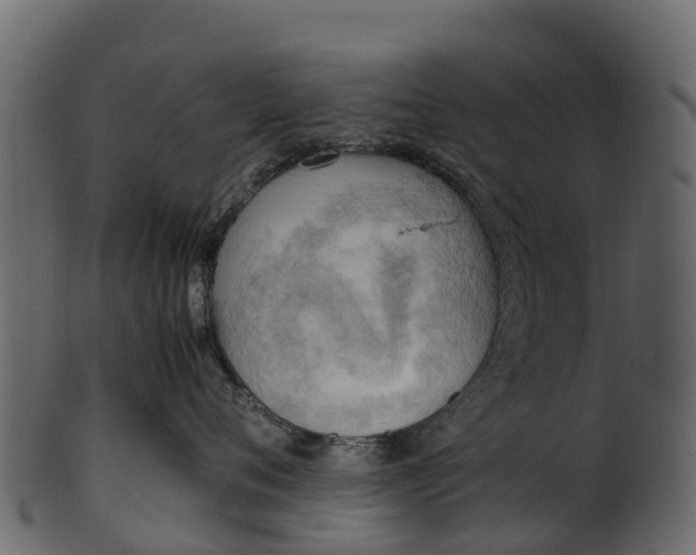 X0000100480720200807031852