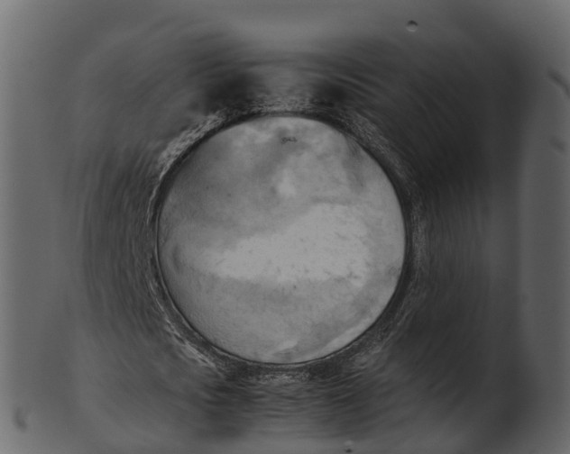 X0000100480721200807031851