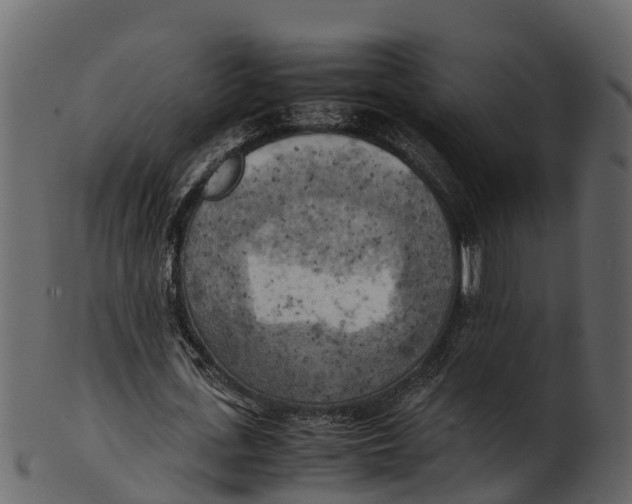 X0000100480723200807031851