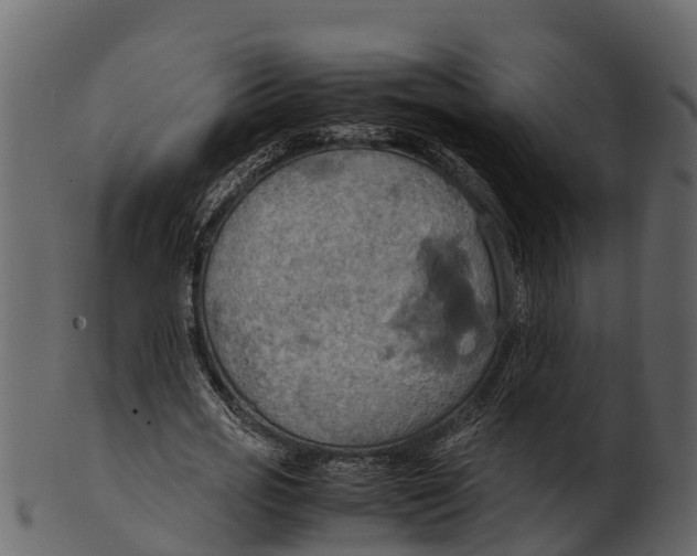 X0000100480725200807031851