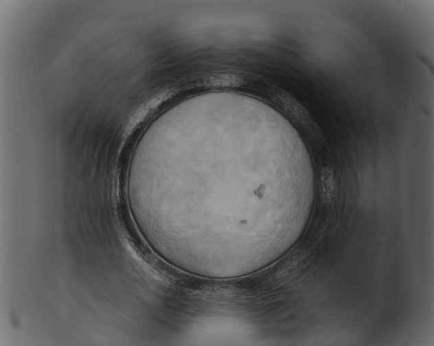 X0000100480726200807031851